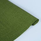 Бумага для упаковок и поделок, гофрированная, оливковый зелёный, однотонная, двусторонняя, рулон 1 шт., 0,5 х 2.5 м - Фото 2