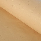 Бумага тишью  «Золотая пыль» 50 х 76 см - Фото 1