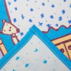 Одеяло байковое "Кот на кухне", размер 100х140 см, цвет голубой, хл100% 390 г/м D311511 - Фото 3