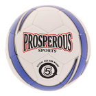 Мяч футбольный Prosperous, 32 панели, PU, 4 подслоя, машинная сшивка, размер 5, цвета микс - Фото 2