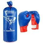 Набор боксёрский детский «Классик стандарт» №2: перчатки, груша, цвета МИКС - Фото 2