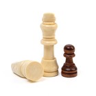 Шахматы деревянные обиходные 29 х 29 см, король h-5.5 см, пешка h-3 см - фото 3806890