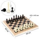 Шахматы турнирные 43 х 43 см, фигуры пластик, король h-9 см, пешка h-4.1 см - фото 320420466