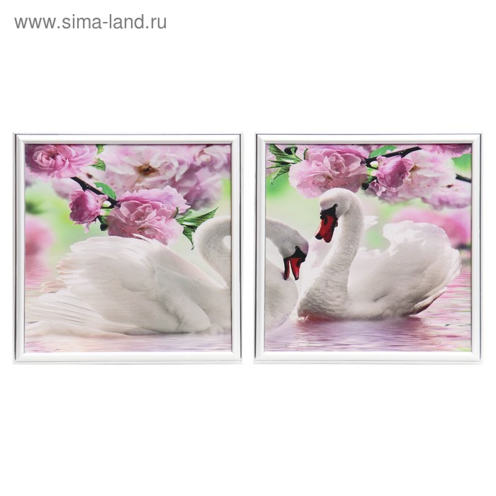 Модульная картина "Два лебедя" (33х33-2 шт)  33х66 см - Фото 1