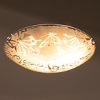 Светильник  "Бабочки" 2 лампы  E27 60 Вт  Ф300 - фото 20761914