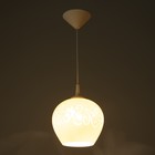 Светильник Ладера 257/5 1 лампа E27 60 Вт б.с. Ф200 - Фото 3