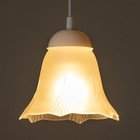 Плафон  "Гусиные Лапки"   E27  мат. - фото 25262065