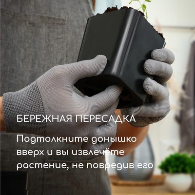 Горшок для рассады, 500 мл, 8.5×8.5×9.5 см, пластик, чёрный, Greengo