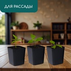 Горшок для рассады, 700 мл, 9×9×10 см, пластик, чёрный, Greengo - Фото 3
