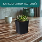 Горшок для рассады, 700 мл, 9×9×10 см, пластик, чёрный, Greengo - Фото 4