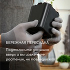 Горшок для рассады, 700 мл, 9×9×10 см, пластик, чёрный, Greengo - Фото 6