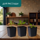 Горшок для рассады, 300 мл, 7.5×7.5×7.5 см, пластик, чёрный, Greengo - Фото 3