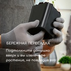 Горшок для рассады, 300 мл, 7.5×7.5×7.5 см, пластик, чёрный, Greengo - Фото 6