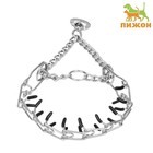 Ошейник - полуудавка строгий с защитными колпачками, 45 см х 2,5 мм - Фото 1