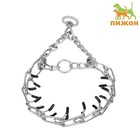 Ошейник - полуудавка строгий с защитными колпачками, 3,5 мм х 55 см - Фото 1
