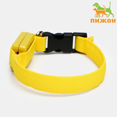 Ошейник светящийся узкий для небольших собак, 26×1.5 см, жёлтый