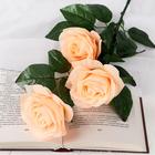 Цветы искусственные "Роза Жанна" 10х61 см, кремовый - фото 320004494