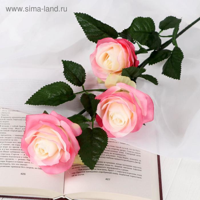 Цветы искусственные "Роза Жанна" 10х61 см, бело-розовый - Фото 1