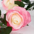 Цветы искусственные "Роза Жанна" 10х61 см, бело-розовый - Фото 2