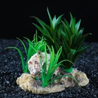 Островок с ракушкой и растениями искусственными для аквариума, 13 х 12 х 10 см - Фото 5