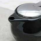 Чайник заварочный 500 мл "Глянец", с ситом, цвет чёрный - Фото 2