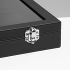 Шкатулка для украшений 10 крючков и 8 полос, 35×24×5, стеклянная крышка, чёрная - Фото 4