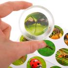 Набор для исследований «Юный натуралист» - Фото 2