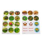 Набор для исследований «Юный натуралист» - Фото 4