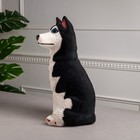 Копилка "Собака Хаски", белый цвет, флок, керамика, 39 см - Фото 4