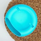 Тарелка пластиковая для семечек и орехов «Плэтэр», 20×11 см, с подставкой для телефона, цвет МИКС - Фото 3