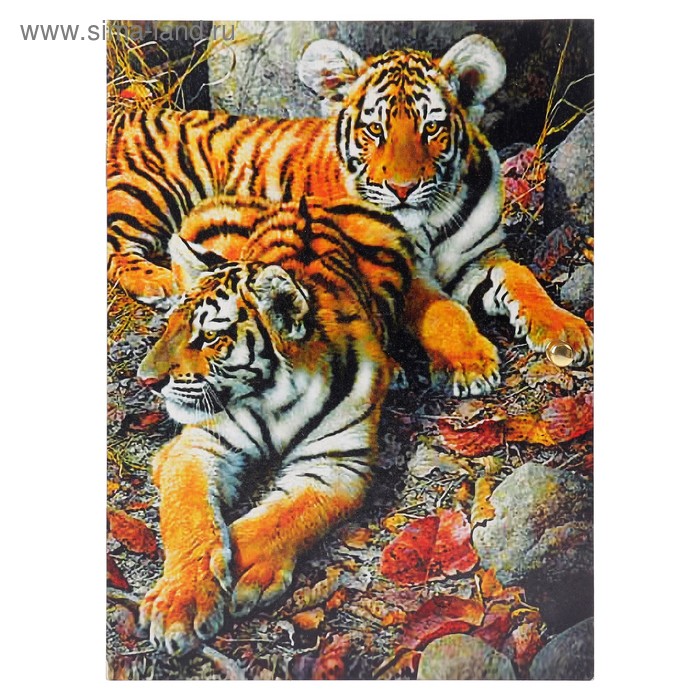 Ключница  "Тигры на отдыхе" 19х25,6 см - Фото 1