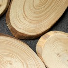 Спил дерева "Еловый", овальный, d=4-8 см, h=5 мм - Фото 3