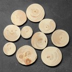 Спил дерева «Сосновый», круглый, d=4-7 см, h=5 мм - Фото 2