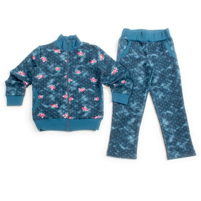 Комплект (куртка+брюки) для девочки,  рост 98 см, цвет синий,принтнабивка  Л879