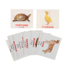 Обучающие карточки «Мини-40. Domestic animals/Домашние животные» - Фото 1