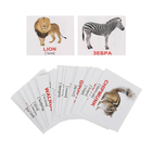 Обучающие карточки «Мини-40. Wild animals/Дикие животные» - Фото 1