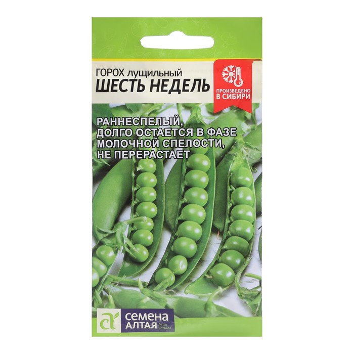 Семена Горох "Шесть недель", лущильный, скороспелый, ц/п, 10 г - Фото 1