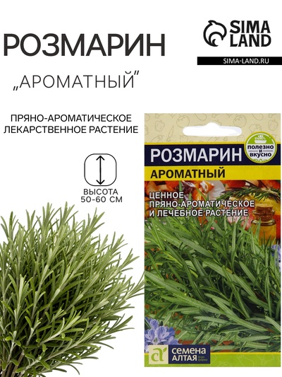 Семена Розмарин «Ароматный», 0.03 г, «Семена Алтая»