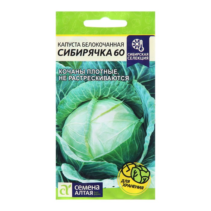 Семена Капуста белокочанная «Сибирячка 60», 0.5 г, «Семена Алтая» - Фото 1
