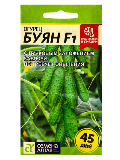 Семена огурца «Буян», 5 шт., «Семена Алтая»