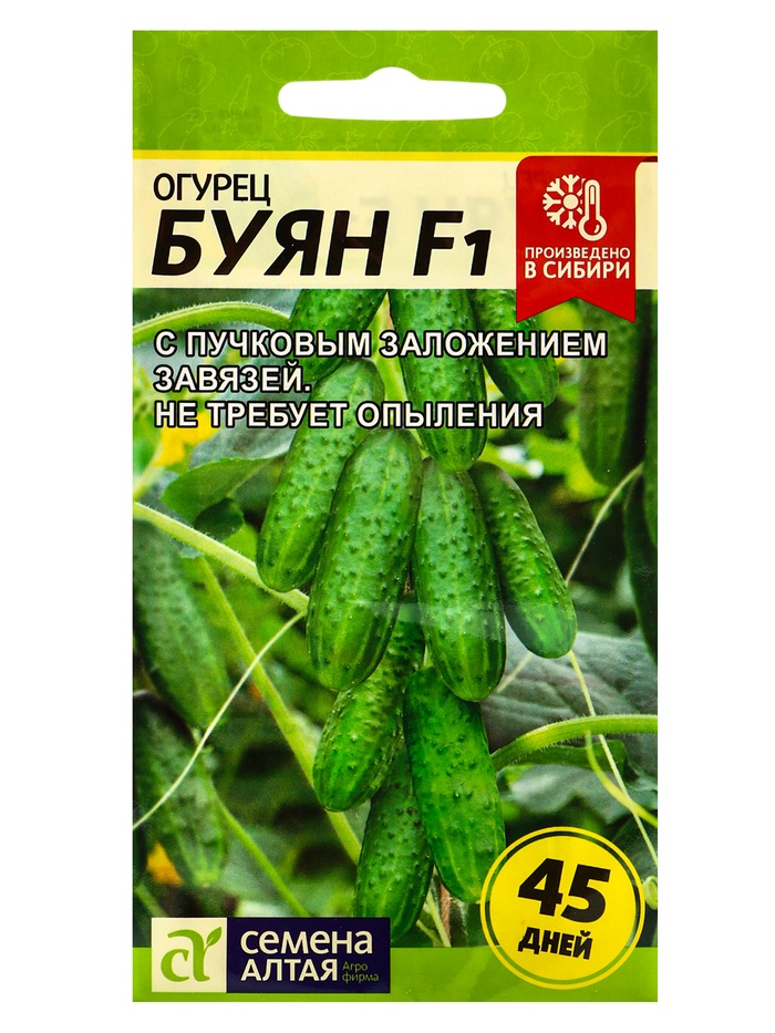 Семена огурца «Буян», 5 шт., «Семена Алтая» - Фото 1