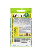 Семена огурца «Буян», 5 шт., «Семена Алтая» - Фото 6