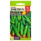 Семена огурца "Емеля", 5 шт. - Фото 1