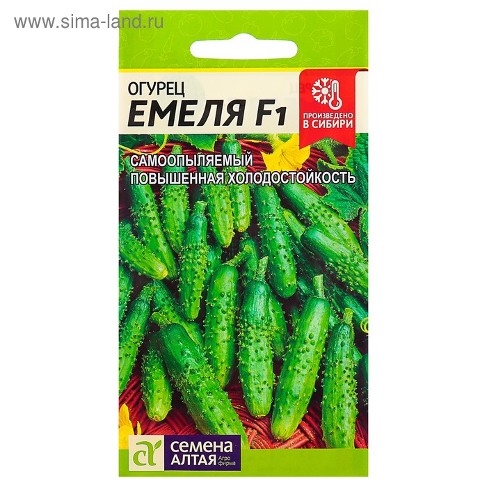 Семена огурца "Емеля", 5 шт. - Фото 1
