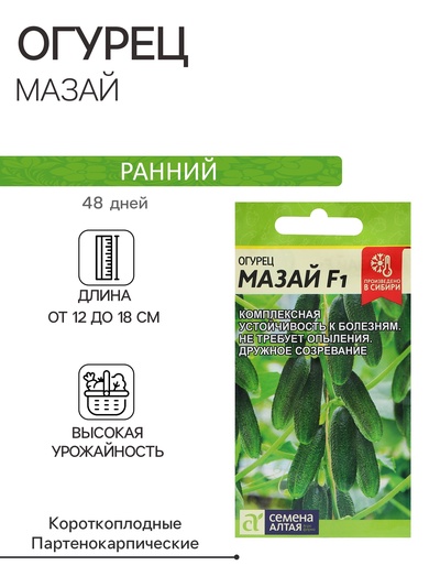 Семена Огурец «Мазай», раннеспелый, партенокарпический, 5 шт., «Семена Алтая»