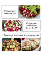 Семена Редис "Чемпион", раннеспелый, ц/п, 2 г - Фото 3