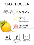 Семена Репа "Русская Сказка", ц/п, среднеранняя, ц/п, 1 г - Фото 2
