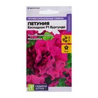 Семена цветов Петуния «Бургунди Каскадная», F1, махровая, 7 шт., «Семена Алтая» - Фото 1