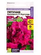 Семена цветов Петуния «Бургунди Каскадная», F1, махровая, 7 шт., «Семена Алтая» - Фото 1