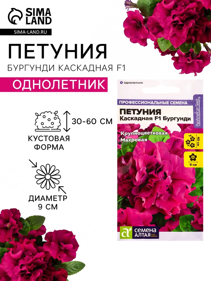 Семена цветов Петуния «Бургунди Каскадная», F1, махровая, 7 шт., «Семена Алтая» - Фото 1